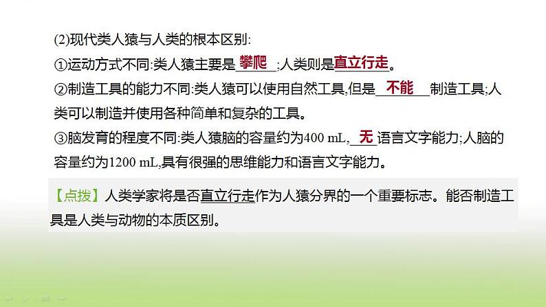 新人教版中考生物复习第四单元生物圈中的人第11课时人的由来课件03