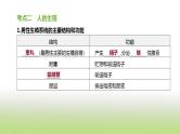 新人教版中考生物复习第四单元生物圈中的人第11课时人的由来课件