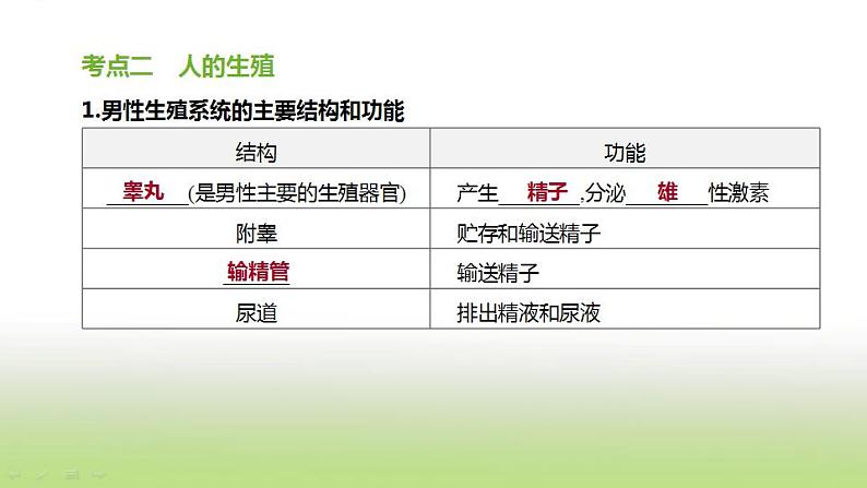 新人教版中考生物复习第四单元生物圈中的人第11课时人的由来课件05