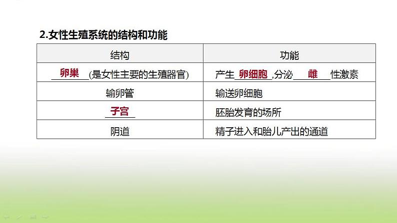 新人教版中考生物复习第四单元生物圈中的人第11课时人的由来课件06