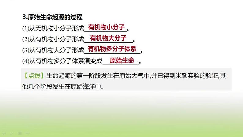 新人教版中考生物复习第六单元生命的延续发展和降地生活第25课时生命起源和生物进化课件04