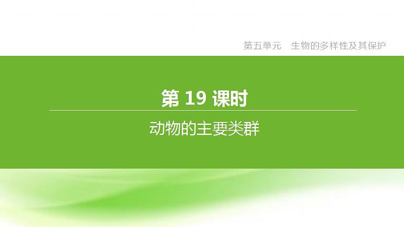 新人教版中考生物复习第五单元生物的多样性及其保护第19课时动物的主要类群课件第1页