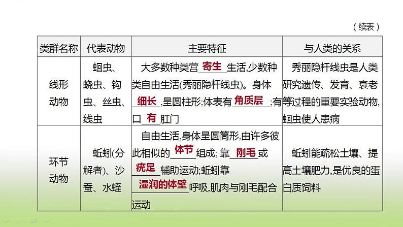 新人教版中考生物复习第五单元生物的多样性及其保护第19课时动物的主要类群课件第4页