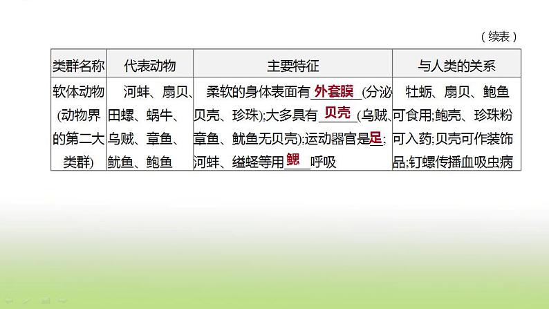 新人教版中考生物复习第五单元生物的多样性及其保护第19课时动物的主要类群课件第5页