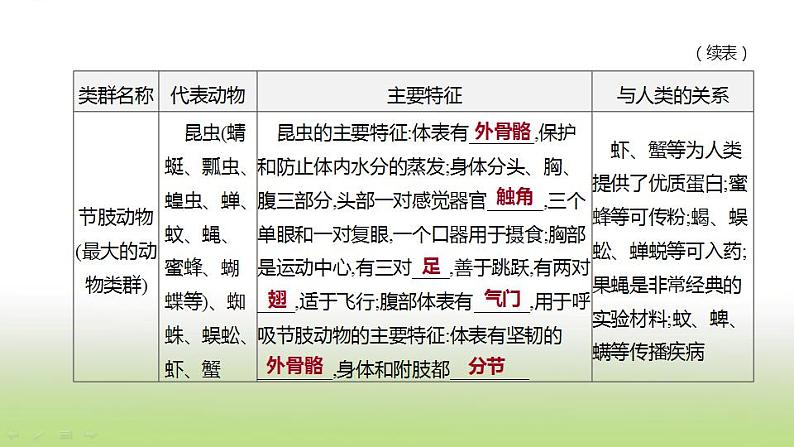 新人教版中考生物复习第五单元生物的多样性及其保护第19课时动物的主要类群课件第6页