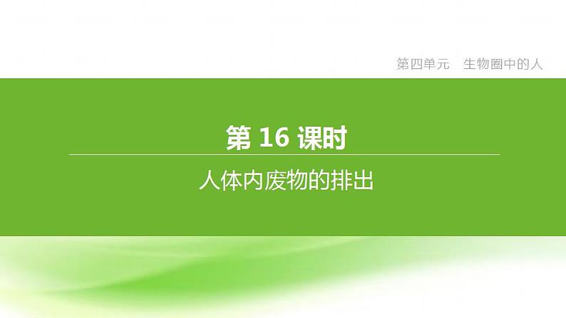 新人教版中考生物复习第四单元生物圈中的人第16课时人体内废物的排出课件第1页