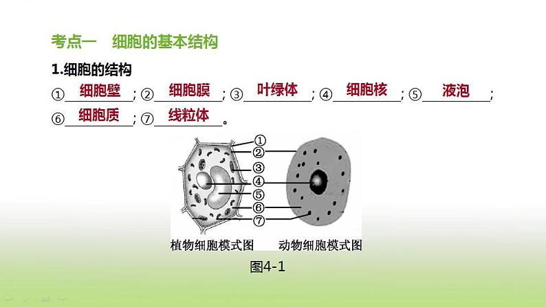 新人教版中考生物复习第二单元生物体的结构层次第04课时细胞的结构和生活课件第2页