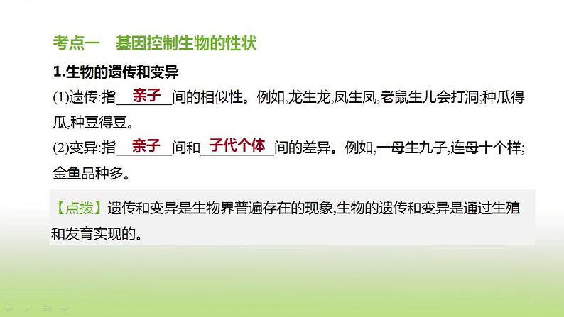 新人教版中考生物复习第六单元生命的延续发展和降地生活第24课时生物的遗传和变异课件02