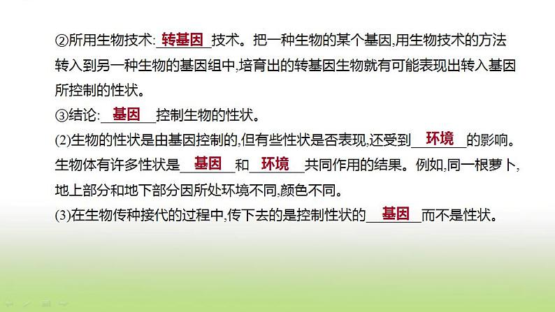 新人教版中考生物复习第六单元生命的延续发展和降地生活第24课时生物的遗传和变异课件05