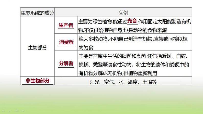 新人教版中考生物复习第一单元生物与环境第02课时生态系统与生物圈课件第5页