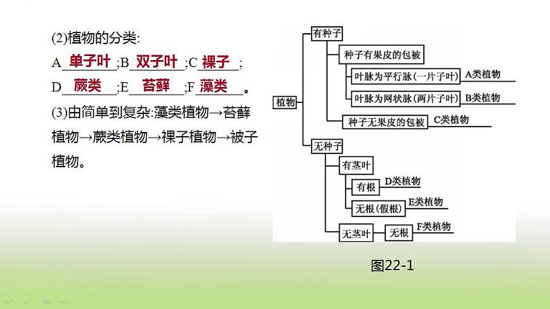 新人教版中考生物复习第五单元生物的多样性及其保护第22课时生物的多样性及其保护课件06