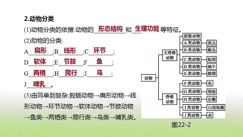 新人教版中考生物复习第五单元生物的多样性及其保护第22课时生物的多样性及其保护课件07