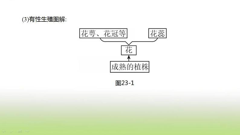 新人教版中考生物复习第六单元生命的延续发展和降地生活第23课时生物的生殖和发育课件第3页