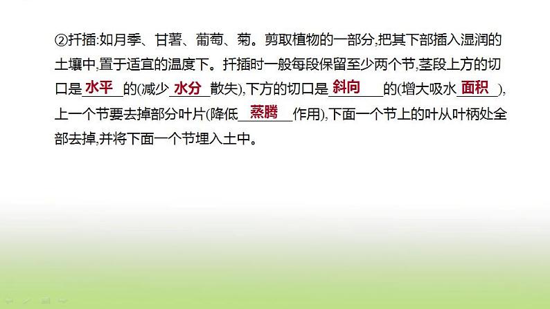 新人教版中考生物复习第六单元生命的延续发展和降地生活第23课时生物的生殖和发育课件第8页