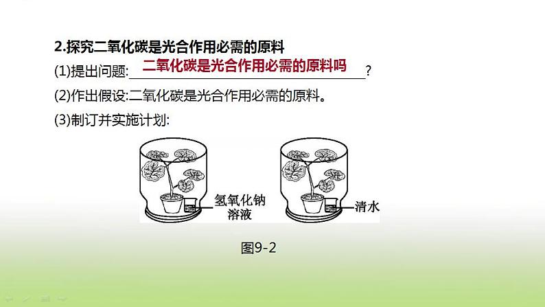 新人教版中考生物复习第三单元生物圈中的绿色植物第09课时绿色植物的光合作用课件第5页