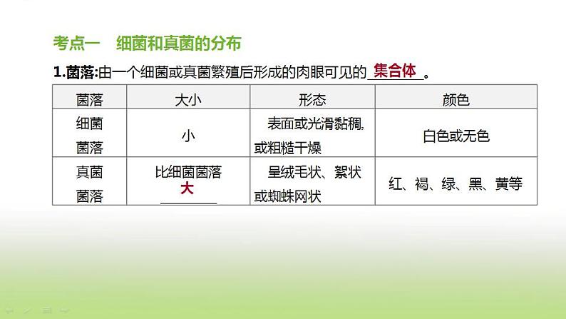 新人教版中考生物复习第五单元生物的多样性及其保护第21课时生物圈中的微生物课件02