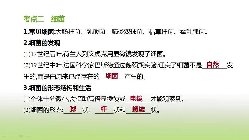 新人教版中考生物复习第五单元生物的多样性及其保护第21课时生物圈中的微生物课件04