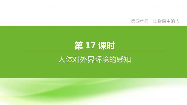 新人教版中考生物复习第四单元生物圈中的人第17课时人体对外界环境的感知课件第1页