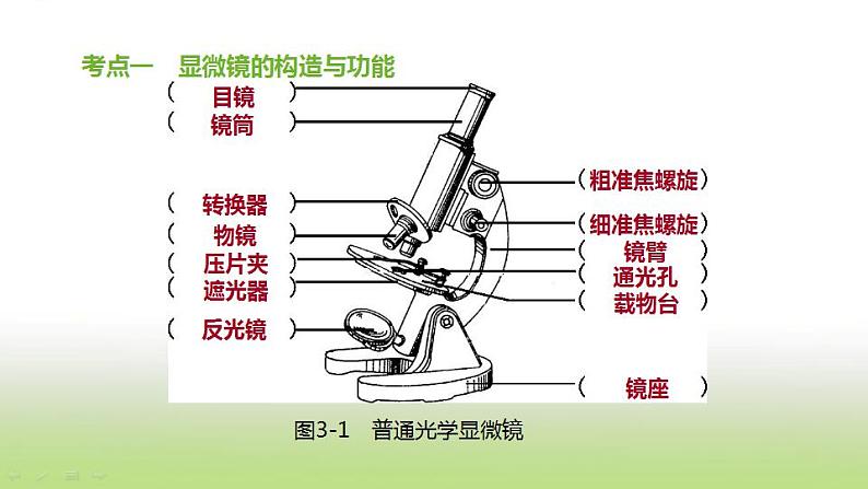 新人教版中考生物复习第二单元生物体的结构层次第03课时显微镜的构造与使用课件02