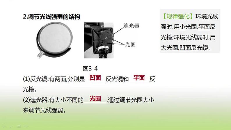 新人教版中考生物复习第二单元生物体的结构层次第03课时显微镜的构造与使用课件05