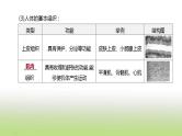 新人教版中考生物复习第二单元生物体的结构层次第05课时生物体的结构层次课件