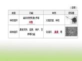 新人教版中考生物复习第二单元生物体的结构层次第05课时生物体的结构层次课件