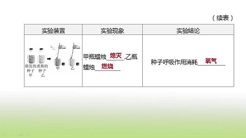 新人教版中考生物复习第三单元生物圈中的绿色植物第10课时绿色植物的呼吸作用课件第3页