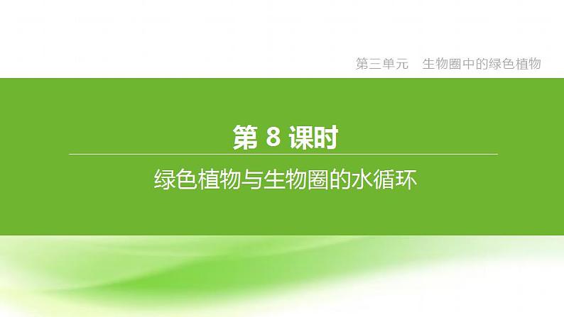 新人教版中考生物复习第三单元生物圈中的绿色植物第08课时绿色植物与生物圈的水循环课件第1页