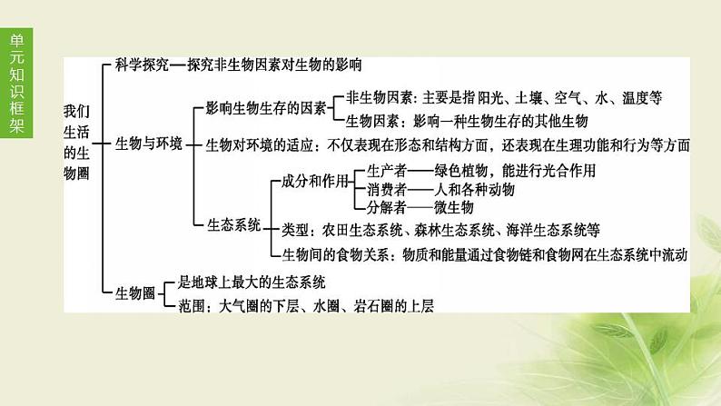 徐州专版中考生物复习第二单元我们生活的生物圈第02课时生物与环境生态系统和生物圈生物之间的食物关系课件01