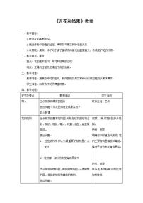 初中生物人教版 (新课标)七年级上册第三节 开花和结果教学设计