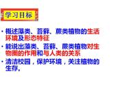 2021-2022人教版七年级生物上册第三单元第一章第一节藻类苔藓和蕨类植物课件