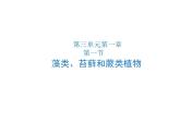 2021-2022人教版七年级生物上册 第三单元生物圈中的绿色植物第一章生物圈中有哪些绿色植物第一节藻类、苔藓和蕨类植物课件