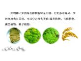 2021-2022人教版七年级生物上册 第三单元生物圈中的绿色植物第一章生物圈中有哪些绿色植物第一节藻类、苔藓和蕨类植物课件