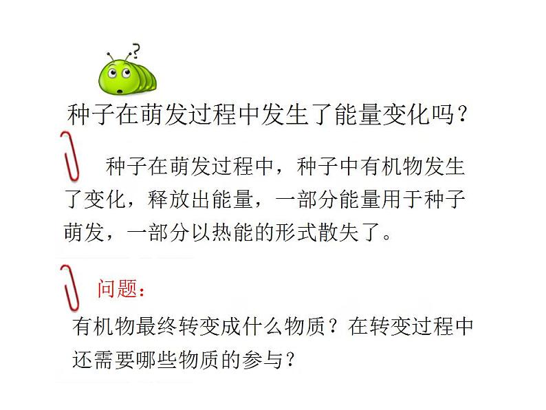 2021-2022人教版七年级生物上册 第三单元生物圈中的绿色生物第五章绿色植物与生物圈中的碳—氧平衡第二节绿色植物的呼吸作用课件05