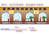 2021-2022人教版七年级生物上册 第三单元第五章第一节光合作用吸收二氧化碳释放氧气课件