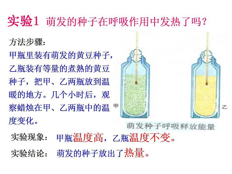 2021-2022人教版七年级生物上册 第三单元第五章第二节绿色植物的呼吸作用课件03