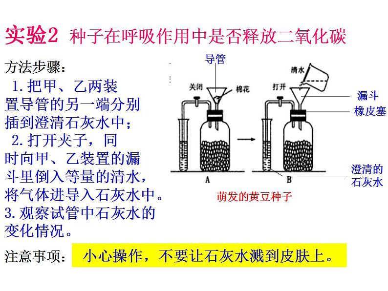 2021-2022人教版七年级生物上册 第三单元第五章第二节绿色植物的呼吸作用课件04