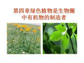 2021-2022人教版七年级生物上册 第三单元第四章绿色植物是生物圈中有机物的制造者课件