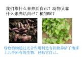 2021-2022人教版七年级生物上册 第三单元第四章绿色植物是生物圈中有机物的制造者课件