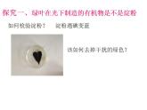 2021-2022人教版七年级生物上册 第三单元第四章绿色植物是生物圈中有机物的制造者课件