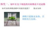2021-2022人教版七年级生物上册 第三单元第四章绿色植物是生物圈中有机物的制造者课件