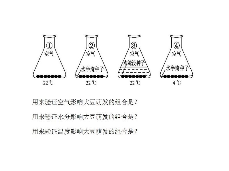 2021-2022人教版七年级生物上册 第三单元第二章第一节种子的萌发课件08