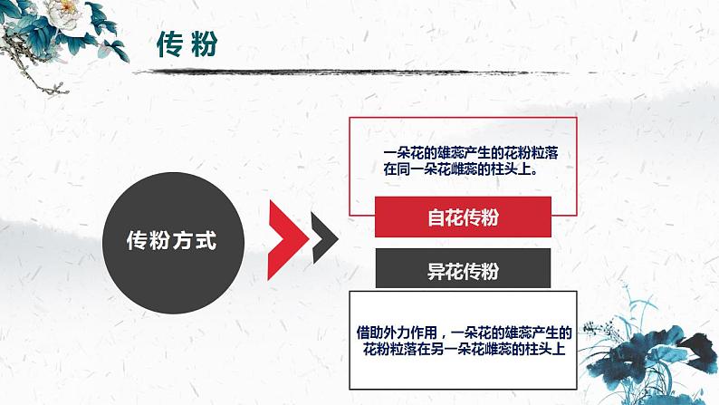 2021-2022人教版七年级生物上册 第三单元 生物圈中的绿色植物 第二章 被子植物的一生第三节 开花和结果 (共21张PPT)课件PPT07