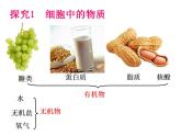 2021-2022 初中人教版 七年级生物上册第二单元第一章第四节细胞的生活课件