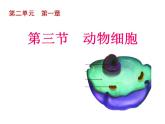 2021-2022 初中人教版 七年级生物上册第二单元第一章第三节动物细胞课件