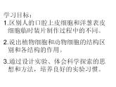 2021-2022 初中人教版 七年级生物上册第二单元第一章第三节动物细胞课件