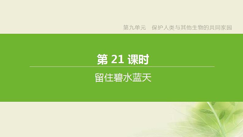 徐州专版中考生物复习第九单元保护人类与其他生物的共同家园第21课时留住碧水蓝天课件第2页