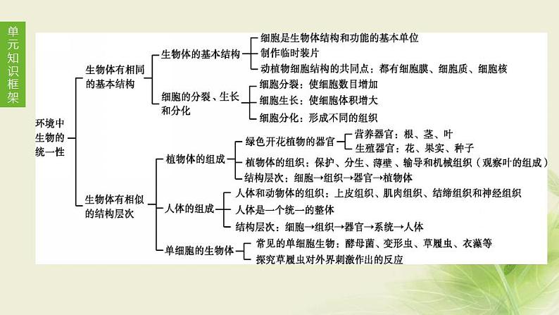 徐州专版中考生物复习第四单元环境中生物的统一性第06课时生物体有相同的基本结构和相似的结构层次课件第1页