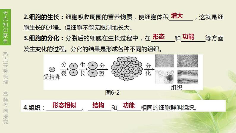 徐州专版中考生物复习第四单元环境中生物的统一性第06课时生物体有相同的基本结构和相似的结构层次课件第7页