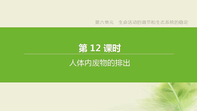 徐州专版中考生物复习第六单元生命活动的调节和生态系统的稳定第12课时人体内废物的排出课件第1页